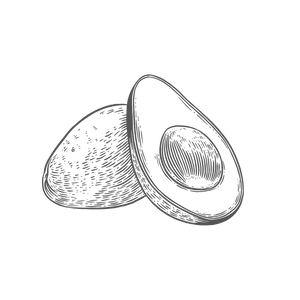 Aguacate
