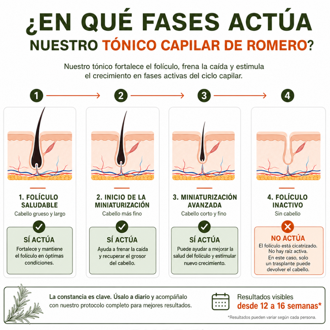 CAÍDA CAPILAR · Tónico Capilar de Romero