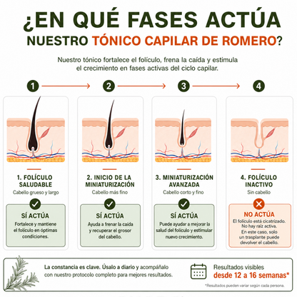 CAÍDA CAPILAR · Tónico Capilar de Romero