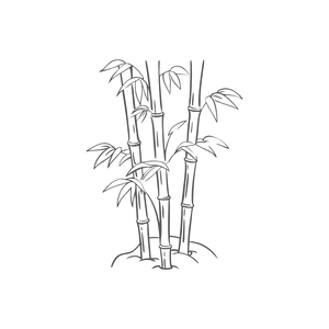 Bambu