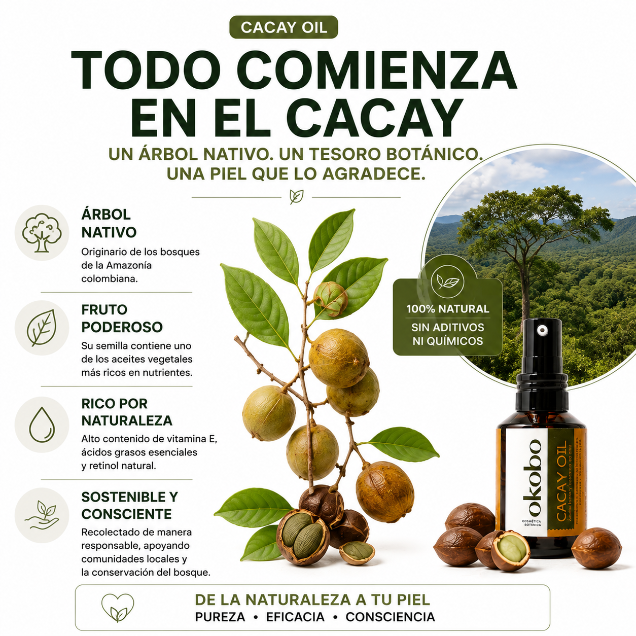 ANTIEDAD NATURAL - Cacay Oil